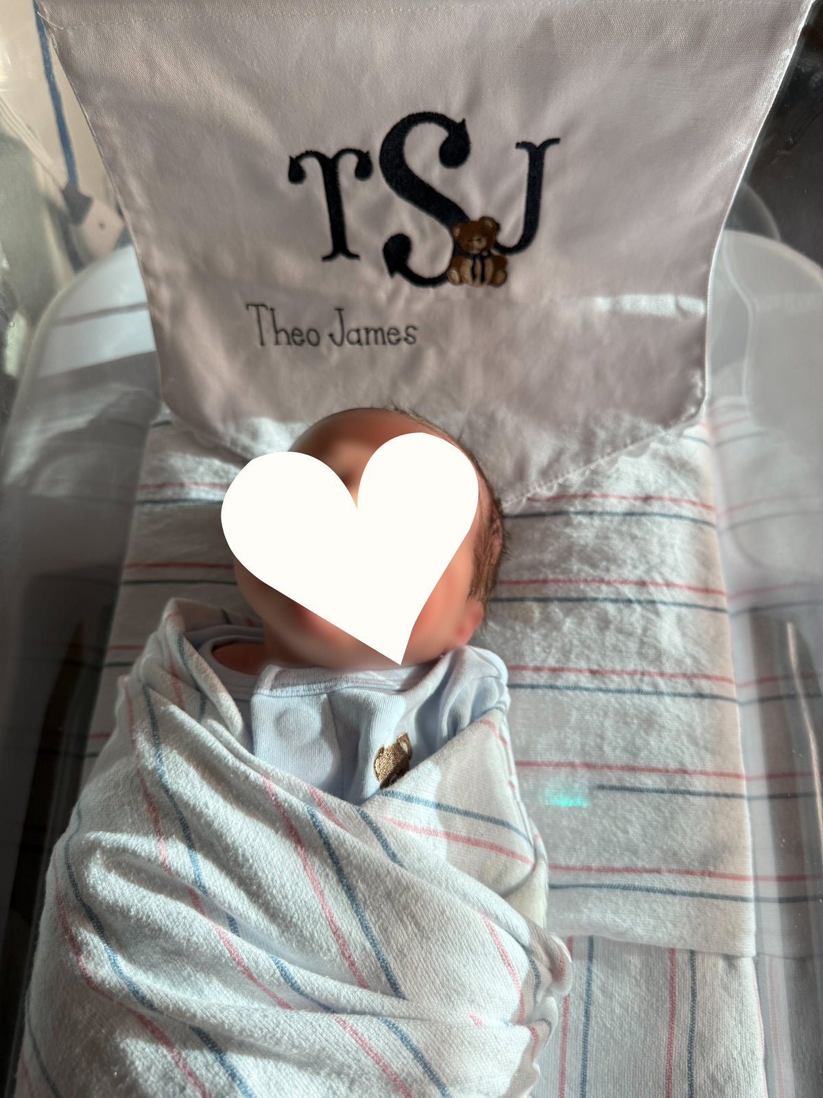 Welcome Baby Bear Banner