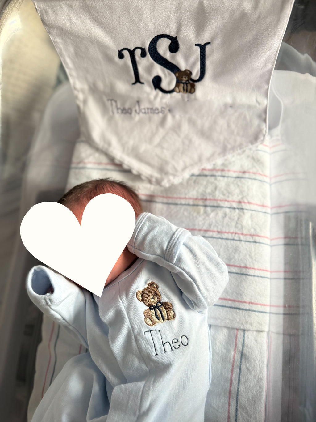 Welcome Baby Bear Banner