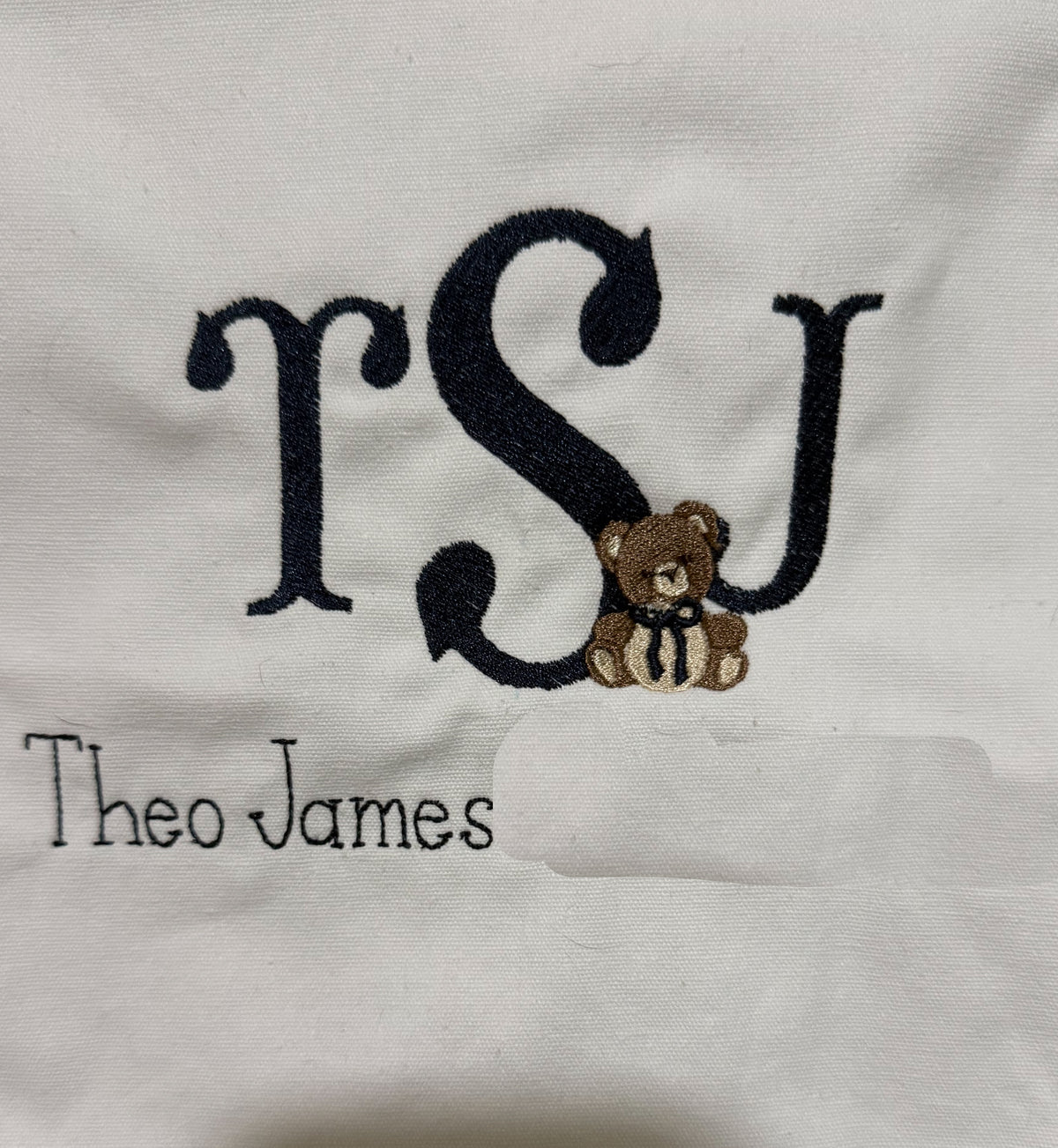 Welcome Baby Bear Banner